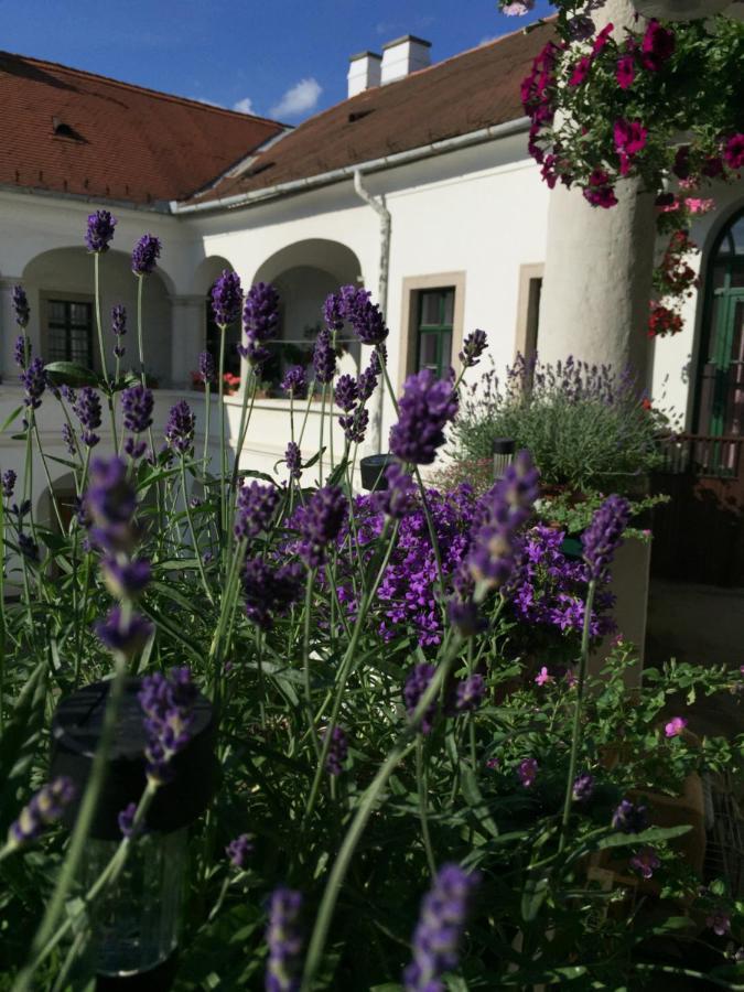 Forst-Haz Apartman Eger Zewnętrze zdjęcie