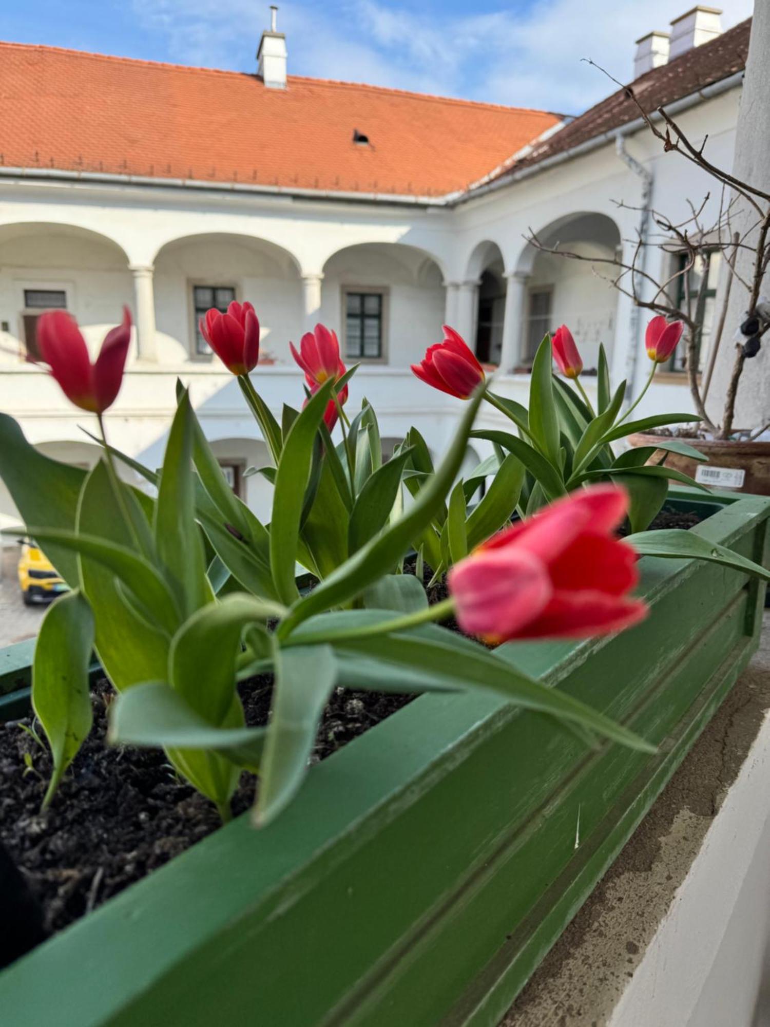 Forst-Haz Apartman Eger Zewnętrze zdjęcie